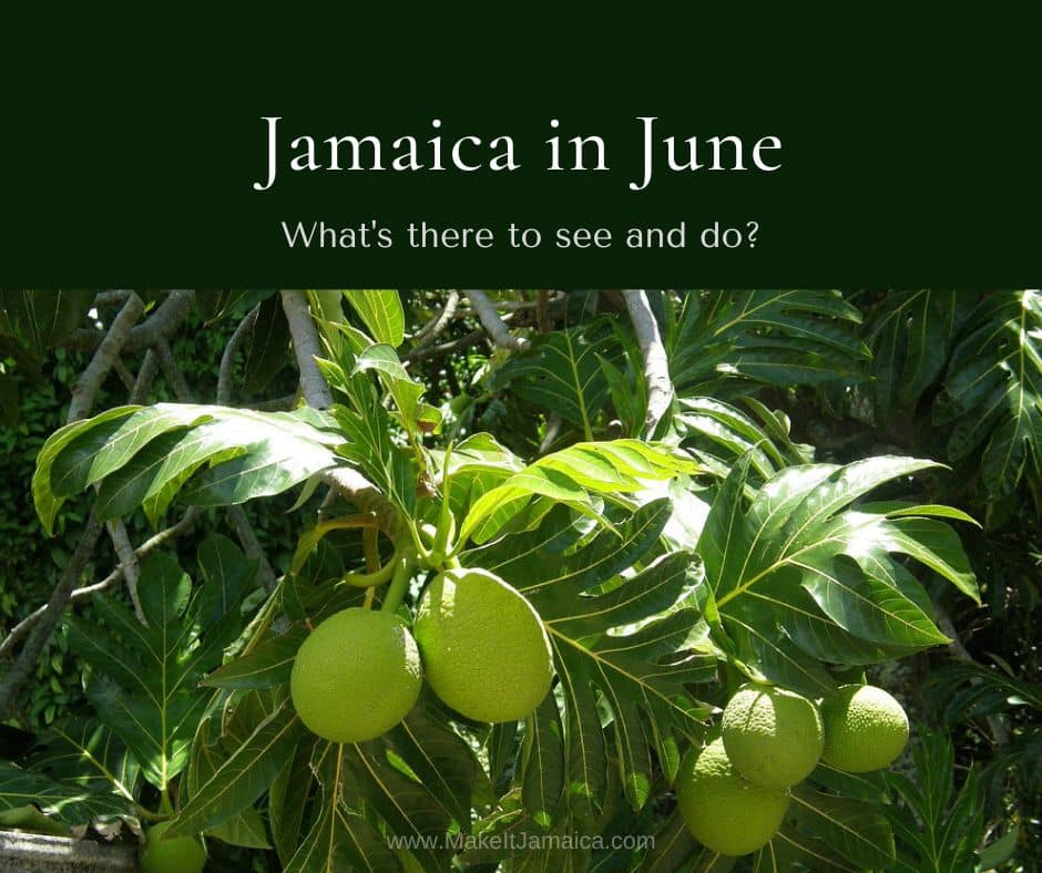 Jamaica in June