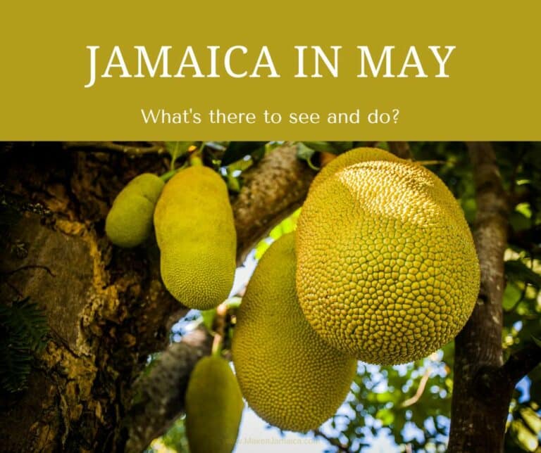 Jamaica in May