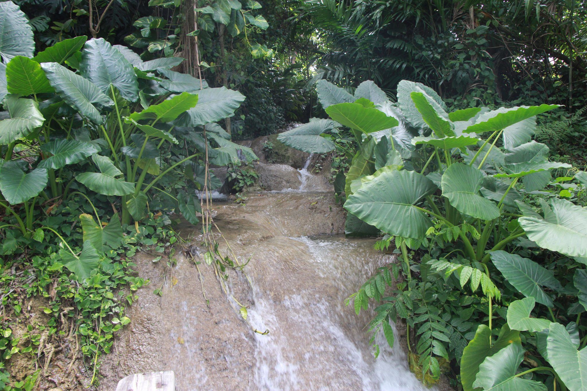 Konoko Falls, Ocho Rios, Jamaica